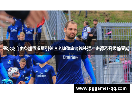 塞尔克自由身加盟汉堡引关注老牌劲旅锋线补强冲击德乙升级前受期