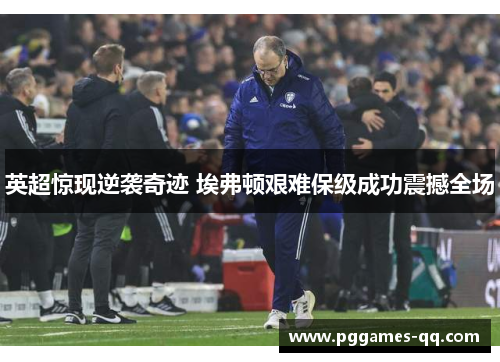 英超惊现逆袭奇迹 埃弗顿艰难保级成功震撼全场